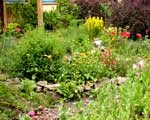 Violas Garten